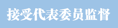 接受代表委员监督.png